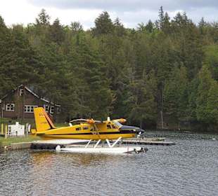 Algonquin Provincial Park, Buschfliegers Home.