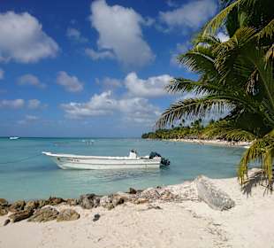 Isla Saona