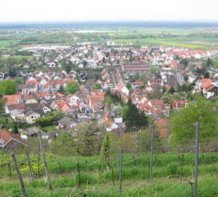 Blick auf Zwingenberg