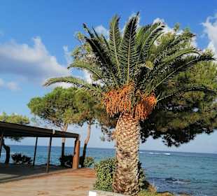 Strandpromenade Chersonissos/Hersonissos