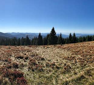 Skilift Stübenwasen