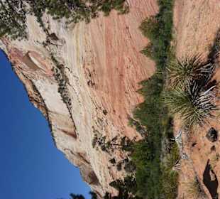 Checkerboard Mesa