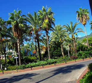 Strand Kleopatra/Strandpromenade