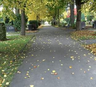 Hauptfriedhof Friedrichshafen