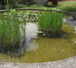 Alter botanischer Garten
