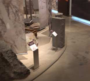 Staatliches Naturkunde Museum