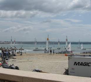 WM der Segler an der Playa Palma