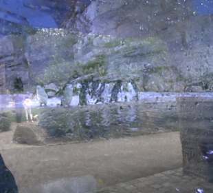 Tierpark Hellabrunn - Polarwelt