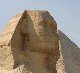 Der Kopf der Sphinx 