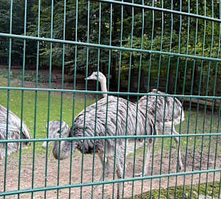 Alsdorf Zoo