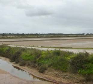 Salinen von Faro: Wanderung bei den Salinen