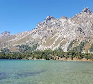 Silser See im Spätsommer