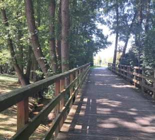  Molenvijverpark in Genk, Belgien 