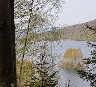 Wandern Frauengau