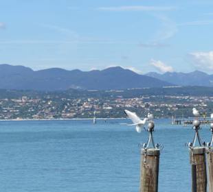 Am Fußweg entlang des Strandes