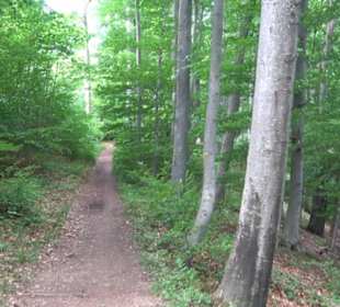 Premiumwanderweg "hochgelegen"