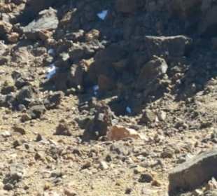 Teide Nationalpark in Las Canadas del Teide