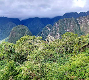 Machu Picchu