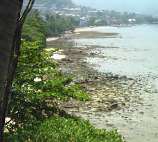 Ganz am Ende der Beach