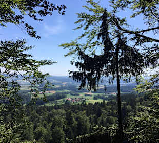 Wandern Ampflwang
