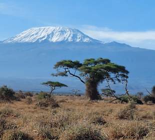 Nationalpark Kilimandscharo / Kilimanjaro