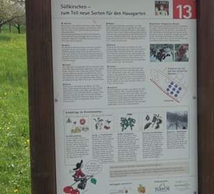 Kirschenweg