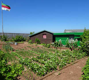 Rundgang durch die Schrebergarten-Kolonie