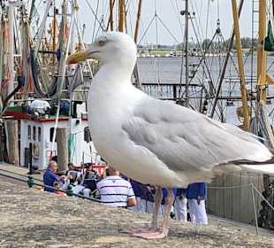 Hafen Greetsiel