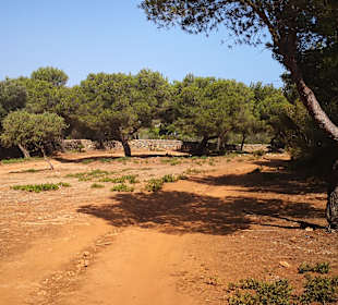 Wandern Cala Mesquida