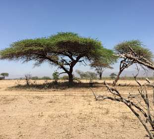 Tsavo West Nationalpark