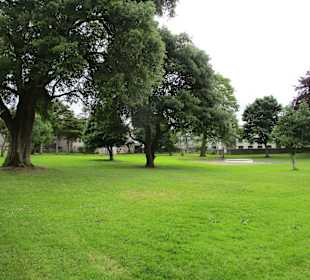 Kathedrale der unbefleckten Empfängnis