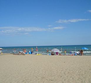 PLATJA NORD DE TORRENOSTRA (TORREBLANCA, CASTELLÓ 