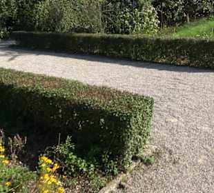 Botanischer Garten München