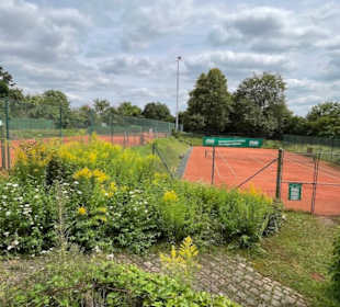 ESC-Ulm Tennis