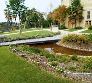 Jérôme Cuzin Centre