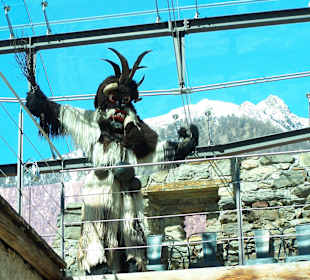 Kultfratze vor heimischer Kulisse