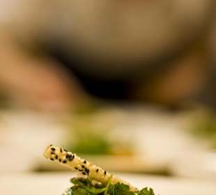 Das Edel Storchennest 