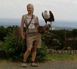 Wildpark und Falknerei