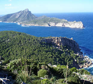 Sa Dragomera