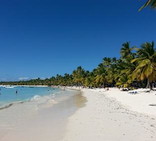 Saona
