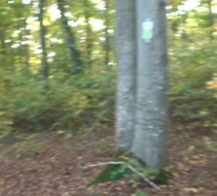 Wanderung Felsen Sankt Johann