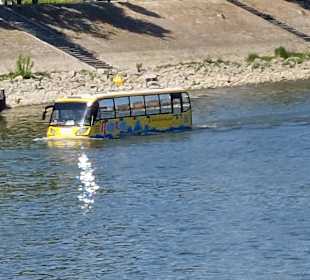 In der Donau