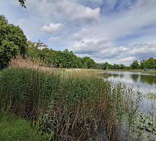 Seewoog in Ramstein-Miesenbach