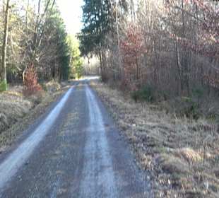 Ochsenweiher Rundweg