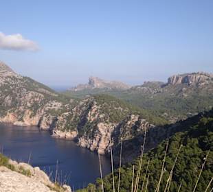 Man kann gefühlt stundenlang schauen