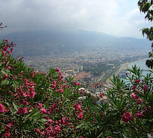 Auf dem Weg zur Burg - Blick über die Stadt Alanya