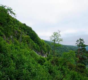 Auf-Abstieg Adlerstein Panorama