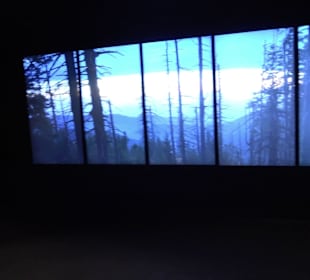 Naturparkzentrum Ruhestein