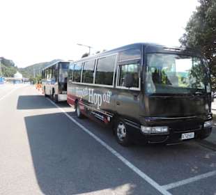 Hop on Hop off Bus Picton