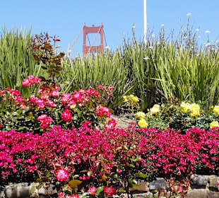 Golden Gate Bridge